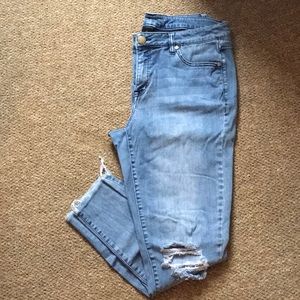 Lane Bryant 14 Stretch Jeans